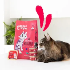 Edgard & Cooper Cat Senior Grain Free Pollo e Tacchino