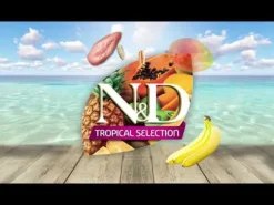 Farmina N&D Tropical Dog Adult Mini Low Grain Salmone e frutta tropicale