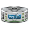 Farmina Vet Life Feline Renal