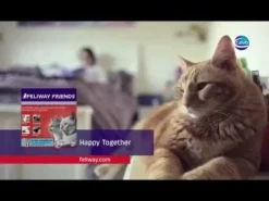 Feliway Friends Diffusore con Ricarica