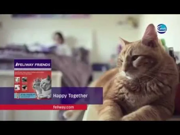 Feliway Friends Diffusore con Ricarica