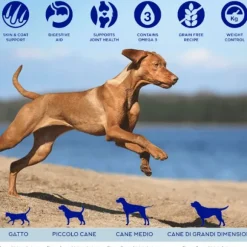 Fish4Dogs Olio di salmone per cani e gatti