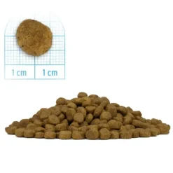 Forza10 MonoDiet Mini Adult Low Grain Hypoallergenic Cervo con patate