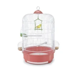 Gabbia Milly Red Imac