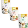 Gim Cat Snack Crunchy