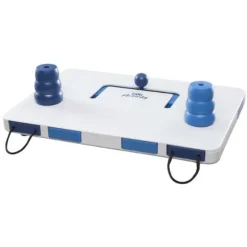 Gioco attivazione mentale Move2Win Trixie