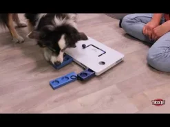 Gioco attivazione mentale Move2Win Trixie