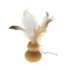 Gioco Cucurbita Organic Ferribiella