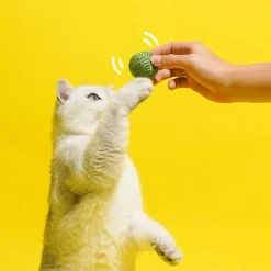 Gioco per gatti Baccello di Pisellini con palline Catnip estraibili Leopet