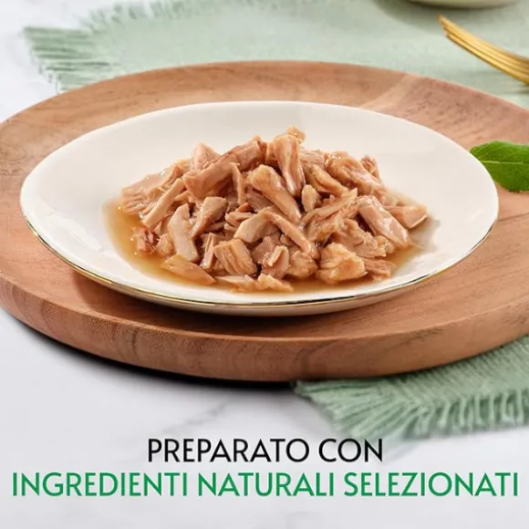 Gourmet Nature's Creations trancetti in salsa 70 gr
