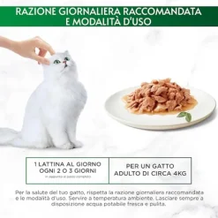 Gourmet Nature's Creations trancetti in salsa 70 gr