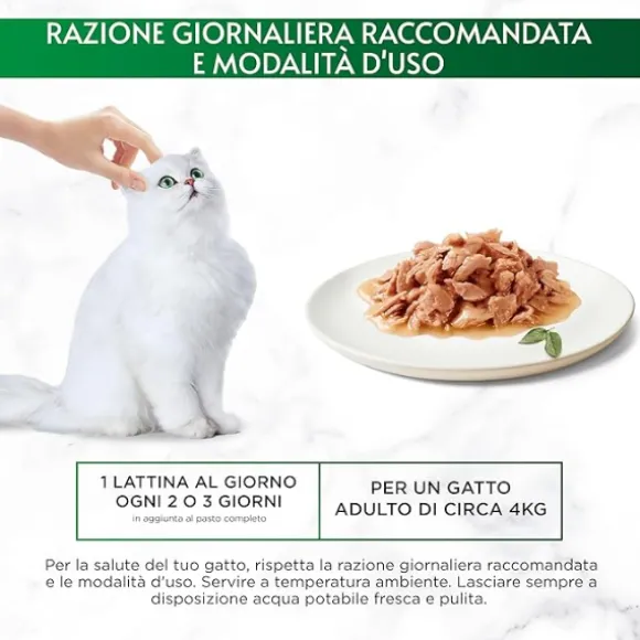 Gourmet Nature's Creations trancetti in salsa 70 gr