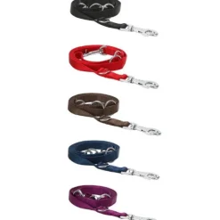 Guinzaglio Doppio da addestramento in nylon PetUp