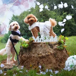Guinzaglio per cani da cerimonia Croci Ceremony