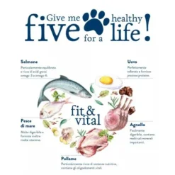 Happy Dog Fit & Vital Medium/Large Light