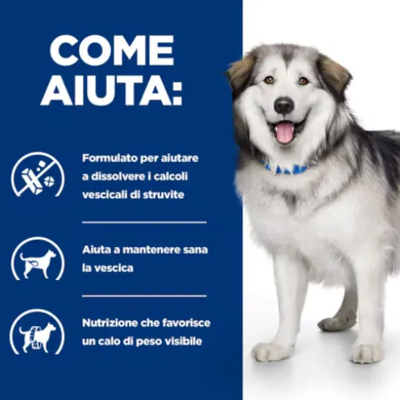 Hill's Prescription Diet c/d Multicare + Metabolic alimento per Cani