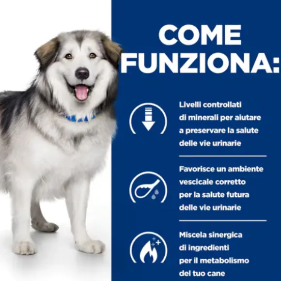 Hill's Prescription Diet c/d Multicare + Metabolic alimento per Cani