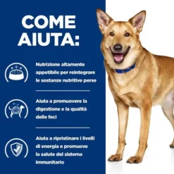 Hill’s Prescription Diet i/d Canine 354 gr