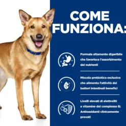 Hill's Prescription Diet i/d Canine 200 gr (scadenza: 30/06/2025)