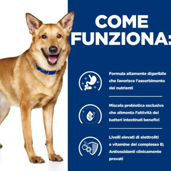 Hill's Prescription Diet i/d Canine 200 gr (scadenza: 30/06/2025)