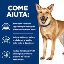 Hill's Prescription Diet i/d Canine 200 gr (scadenza: 30/06/2025)