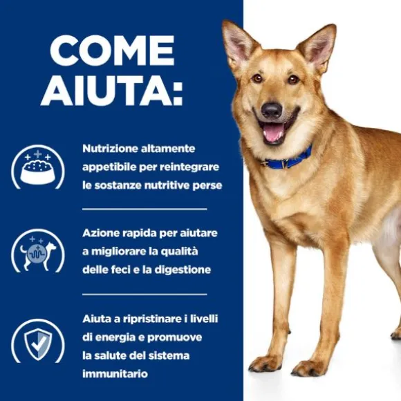 Hill's Prescription Diet i/d Canine 200 gr (scadenza: 30/06/2025)