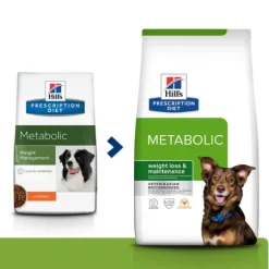 Hill's Prescription Diet Metabolic Canine Pollo