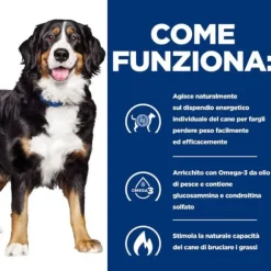 Hill's Prescription Diet Metabolic + Mobility Canine