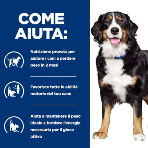 Hill's Prescription Diet Metabolic + Mobility Canine