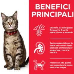 Hill's Science Plan Adult Alimento per Gatti 85 gr