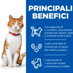 Hill's Science Plan Adult Sterilised Cat Alimento per Gatti con Salmone