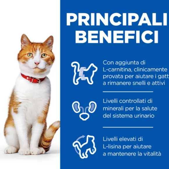 Hill's Science Plan Adult Sterilised Cat Alimento per Gatti con Salmone