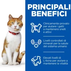 Hill's Science Plan Adult Sterilised Cat Alimento per Gatti al Pollo