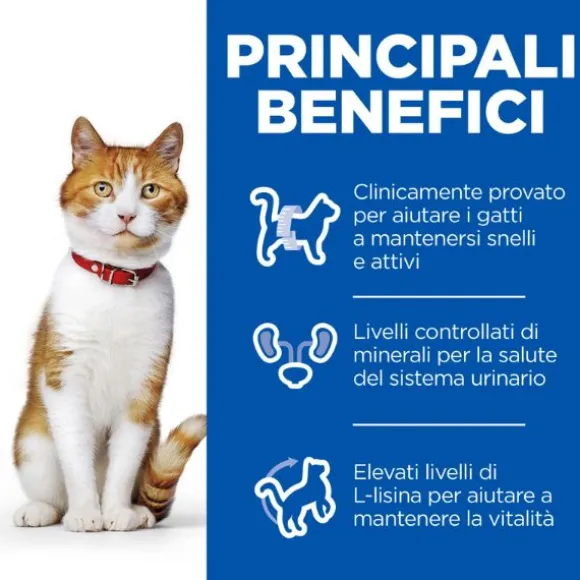 Hill's Science Plan Adult Sterilised Cat Alimento per Gatti al Pollo