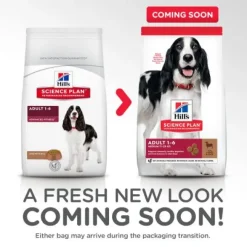 Hill's Science Plan Medium Adult Alimento per Cani con Agnello e Riso