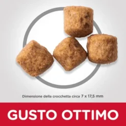 Hill's Science Plan Perfect Weight Large Adult Alimento per Cani con Pollo