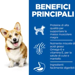 Hill's Science Plan Small & Mini Adult Alimento per cani con Agnello