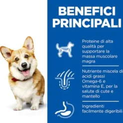 Hill's Science Plan Small & Mini Adult Alimento per cani con Pollo