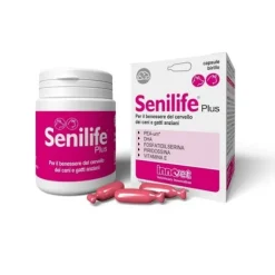 Innovet Senilife Plus supporto celebrale per cani e gatti Senior