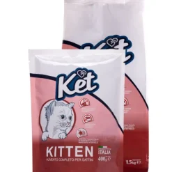 Ket Cat Kitten Pollo