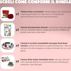 Kitten Bundle il necessario per gattini