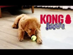Kong Air Squeaker Tennis Ball