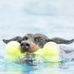 Kong Airdog Squeaker Bone