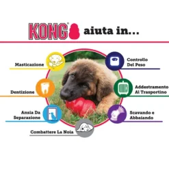 Kong Extreme