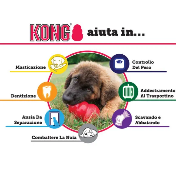 Kong Extreme
