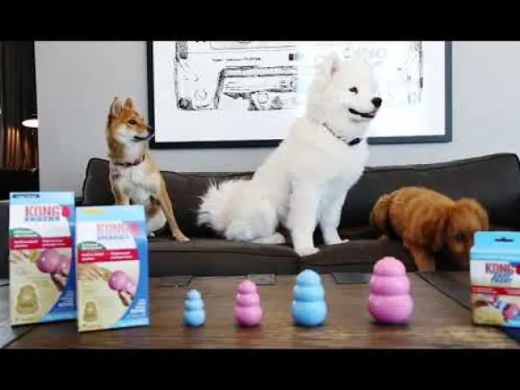 Kong Puppy