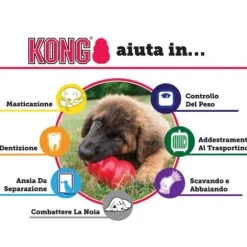 Kong Senior