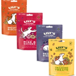 Lily's Kitchen Dog Biscotti Bio