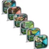 Monge Natural Super Premium Bwild Grain Free Cat 100 gr
