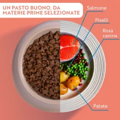 Monopro lo specialista Adult Mini Grain Free Salmone